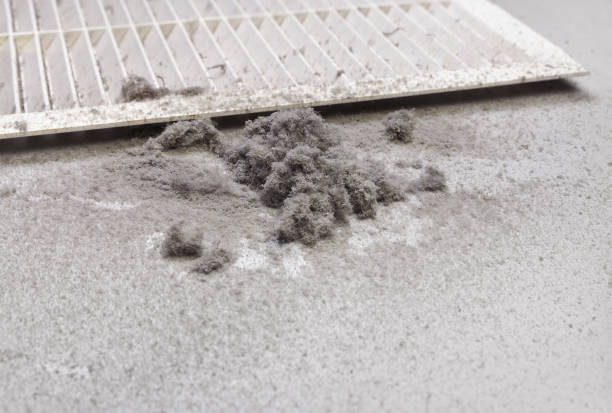 Best Ventilation Cleaning Services  in Brice Prairie, WI