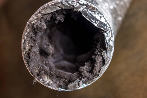 Best Ductwork Cleaning Services  in Brice Prairie, WI